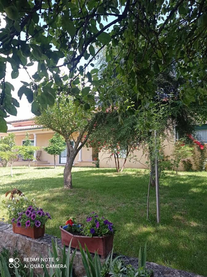 Casa da Floresta Santiago da Guarda Exterior foto